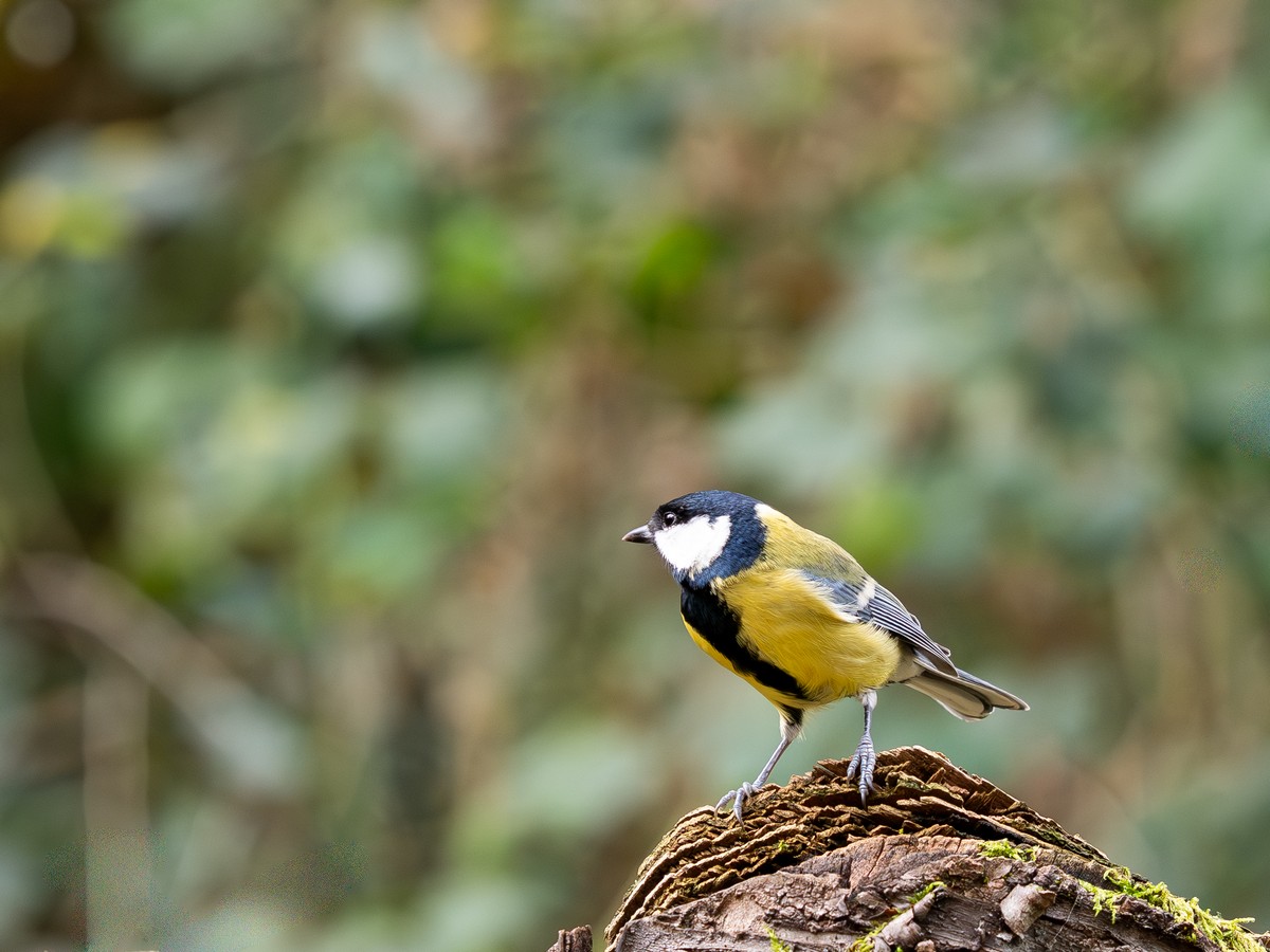 13112025-13 11 25 (1).jpg